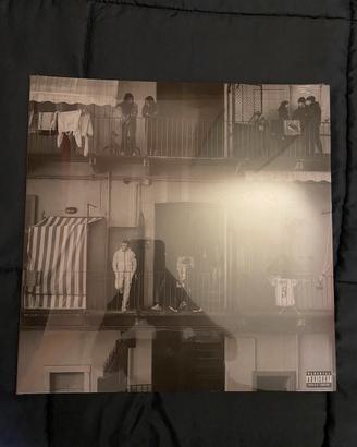 Vinile POPOLARI Rhove