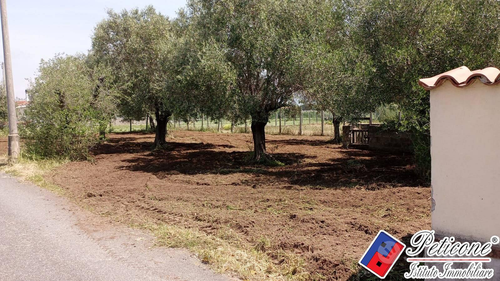 Terreno agricolo - Fondi - Altro