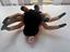 Immagine 4
