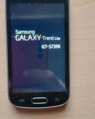 Samsung GT-S7390