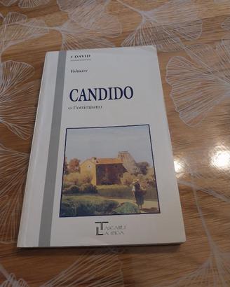 Libro : candido o l'ottimismo - Voltaire