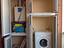 Immagine 3