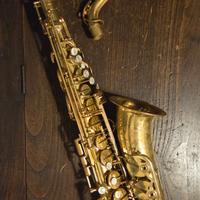 Sassofono Contralto Ripamonti 5030VFRNAT-VI