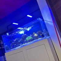 Vasca Acquario marino