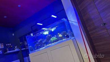 Vasca Acquario marino