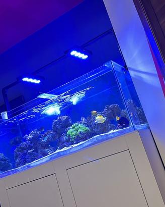 Vasca Acquario marino