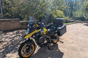 Suzuki v strom 650 2021
