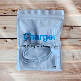 Caricatore fast charging