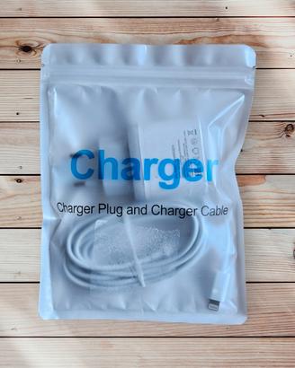 Caricatore fast charging