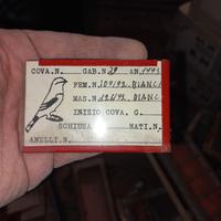 porta targhette per gabbie