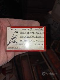 porta targhette per gabbie