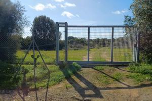 Terreno agricolo pressi Diverland