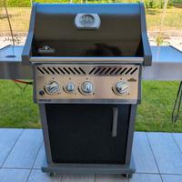 Napoleon Griglia ghisa porcellanata