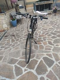 bici pedalata assistita 