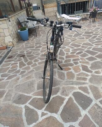 bici pedalata assistita 