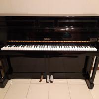 Pianoforte Schiller