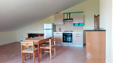 Disponibile monolocale