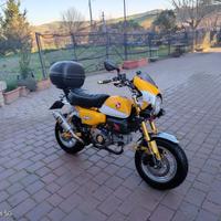 Honda Monkey 125 - 2022