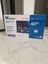 Televisore wester
