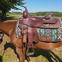 sella western cowhorse