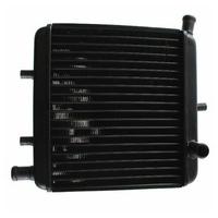 Radiatore acqua Aprilia RS Europa Tuono AF1 50