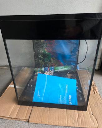 Acquario askoll 44 litri