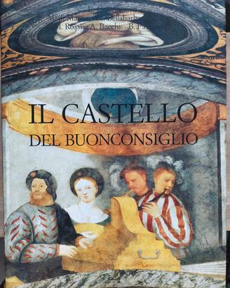 Il Castello del Buonconsiglio.Percorso nel palazzo