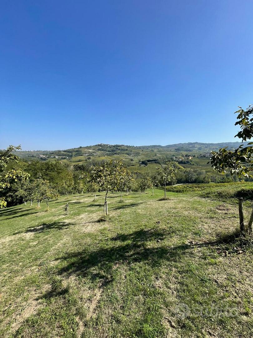 Terreno Agricolo - Montecalvo Versiggia - Pavia - Vista 4