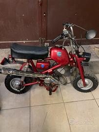 BENELLI Mini Bike 50cc perfetto 1967