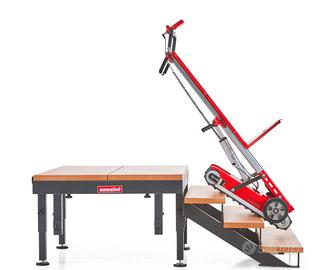 SALISCALE CINGOLATO ELETTRICO ZONZINI