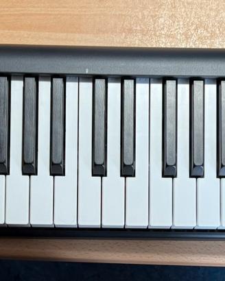 Master Keyboard Icon Artist61 - 1 mese di vita