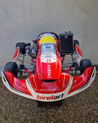 Telaio go kart birel s18 kz