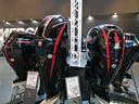 fuoritutto-mercury-100-115-f115-pro-xs