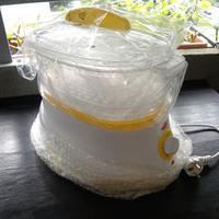 Vaporiera elettrica nuova