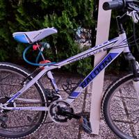 Bicicletta montain bike
