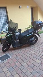 scooter 125 cc SH  verde petrolio 