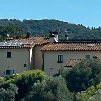 Porzione colonica collo e Scandicci