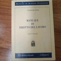 Manuale di diritto del Lavoro Proia Quinta ed. 