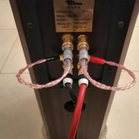 Ponticelli biwiring banane forcelle Salaantonio