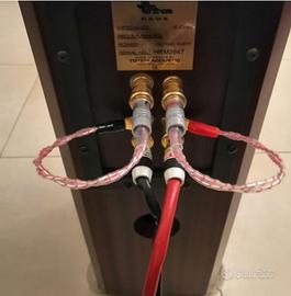 Ponticelli biwiring banane forcelle Salaantonio