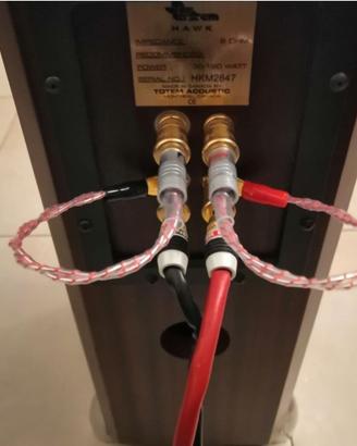 Ponticelli biwiring banane forcelle Salaantonio