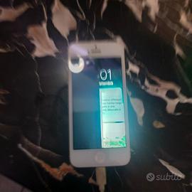 Apple Iphone 5 da riparare