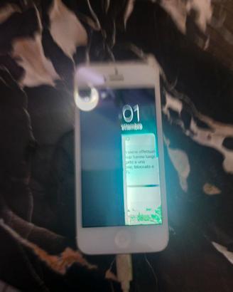 Apple Iphone 5 da riparare