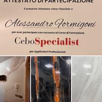 Imbianchino/decoratore professionista