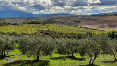 Gestione, collaborazione,impiegato