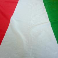 Bandiera tricolore
