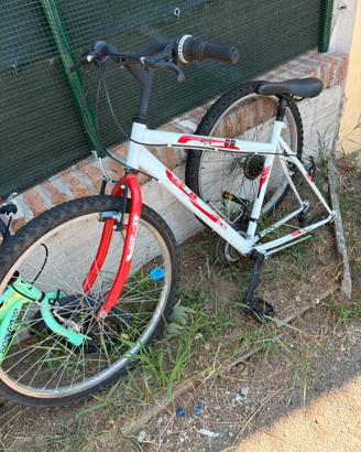 Bicicletta uomo