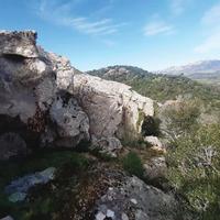 RGE 148/2019 Trib Tempio Pausania