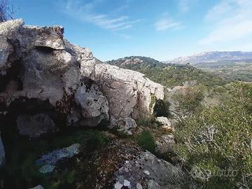 RGE 148/2019 Trib Tempio Pausania