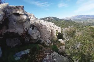 RGE 148/2019 Trib Tempio Pausania